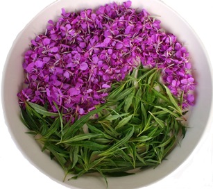 Иван-чай. 100% натуральный продукт! Новые купажи. Лучшие цены! Раздачи уже 19.05. Иван-чай. 100% натуральный продукт! Новые купажи. Лучшие цены! Раздачи уже 19.05.