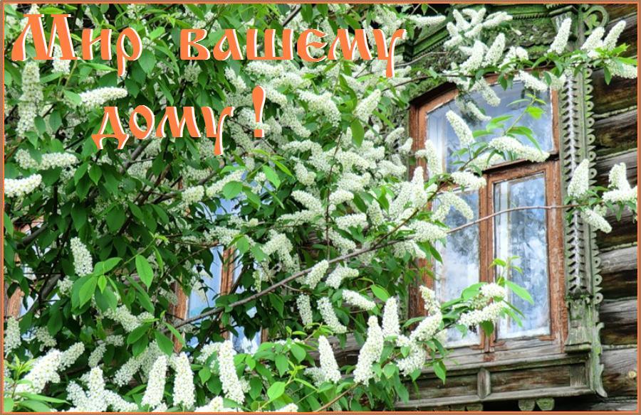 Любви, доброты и Божией милости ! Любви, доброты и Божией милости !