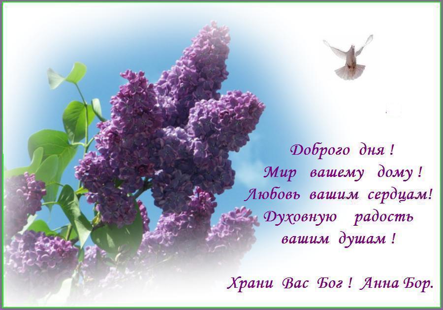 МИР ВАМ ! МИР ВАМ !