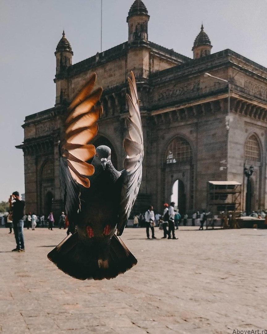 Идеальный стоп-кадр Идеальный стоп-кадр