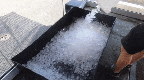 Холодная ванна для выдры Холодная ванна для выдры