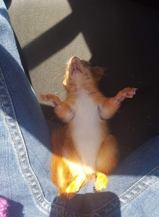 Удачный кадр Удачный кадр