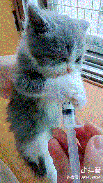 Маленький насос Маленький насос