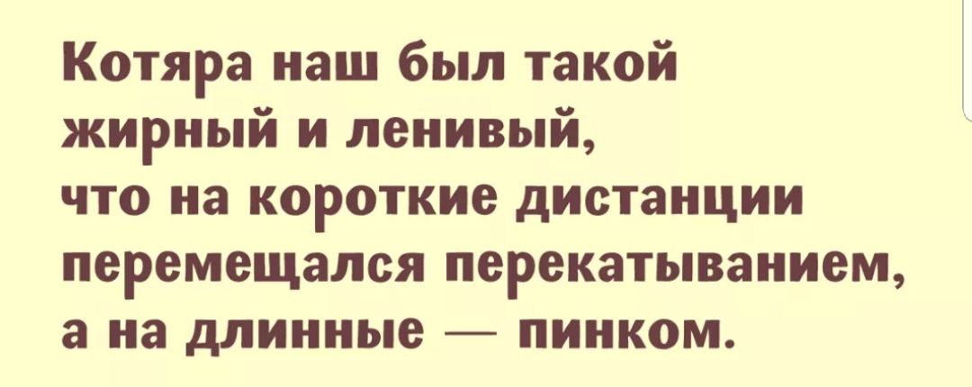 Ну, все, наступит новая неделя, и я начну новую жизнь. Ну, все, наступит новая неделя, и я начну новую жизнь.