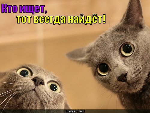 Fedsp.ru - навигатор по морю товаров ПВ ..и не только! Fedsp.ru - навигатор по морю товаров ПВ ..и не только!