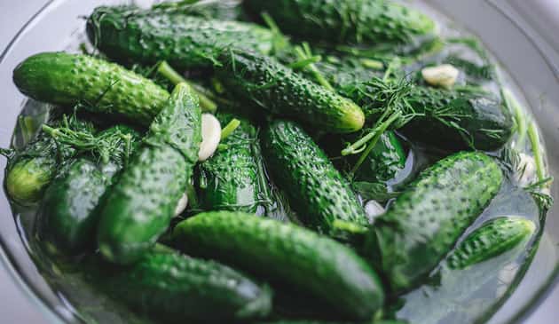 Малосольные огурцы быстрого приготовления - 8 рецептов с чесноком и зеленью Малосольные огурцы быстрого приготовления - 8 рецептов с чесноком и зеленью