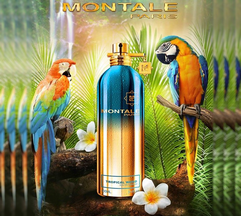 Темы по пристрою. Темы по пристрою.