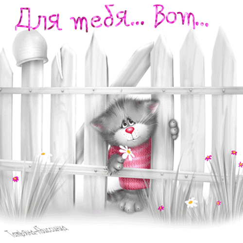 Сбор до 9,00 24,09 Акция. Все в наличии . Орг сбор 3 и 0% Сбор до 9,00 24,09 Акция. Все в наличии . Орг сбор 3 и 0%