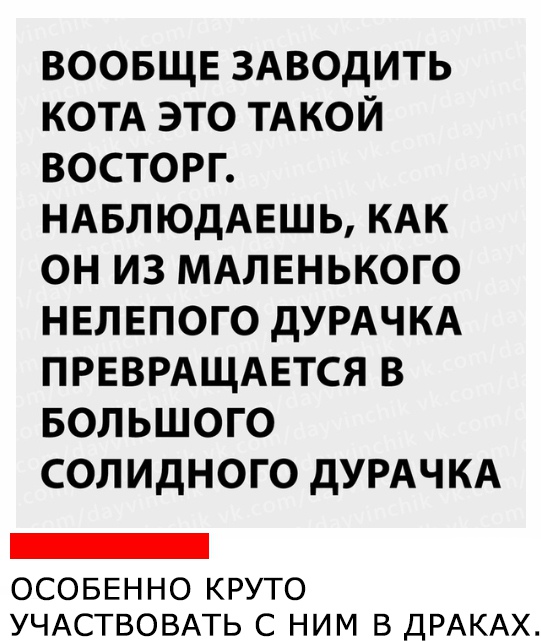 Умное Умное