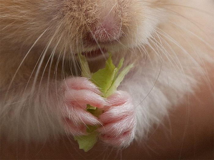 Удачный кадр Удачный кадр