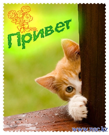 Всем отличного настроения!!! Всем отличного настроения!!!