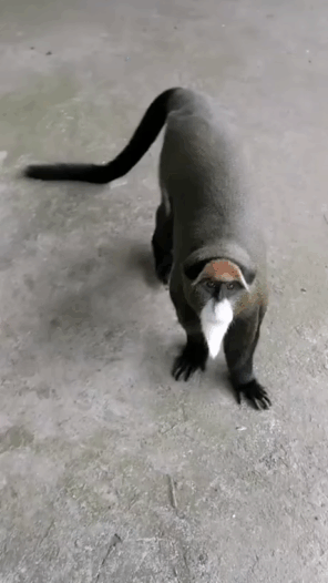 Удивительное Удивительное