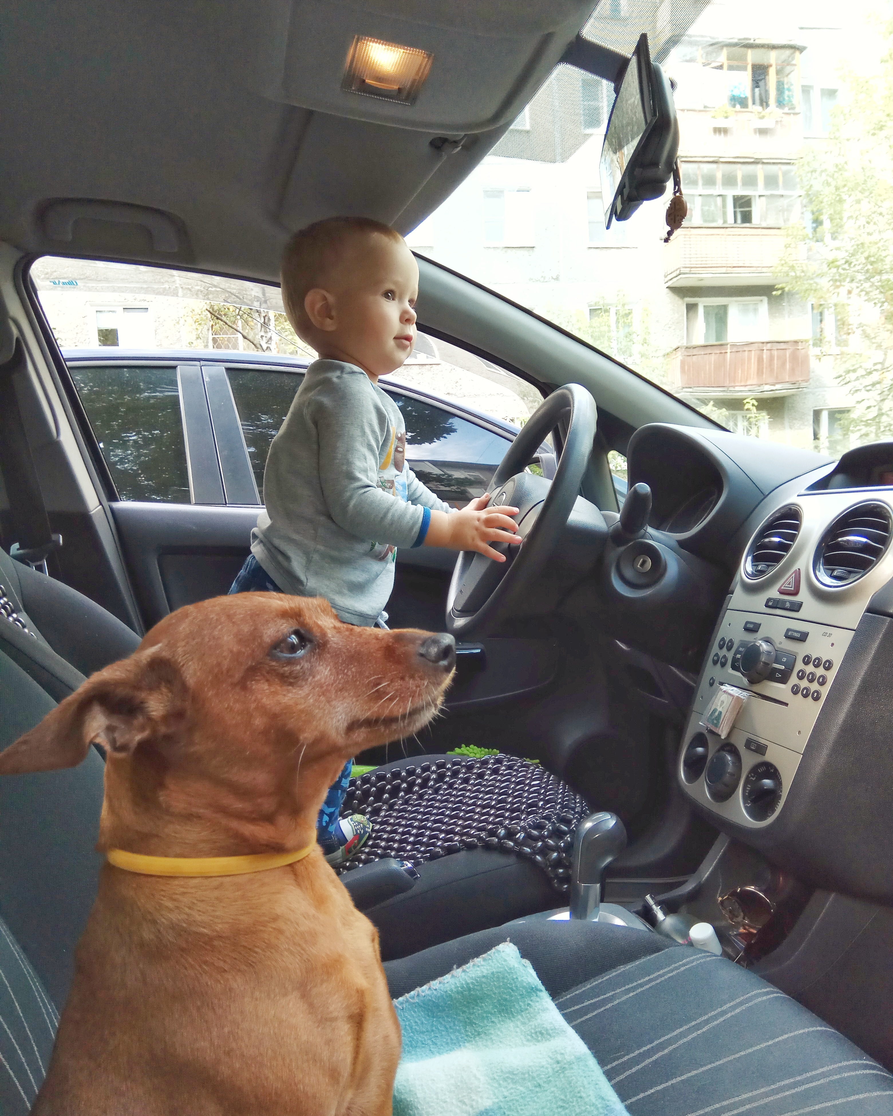 У Жоз новый водитель! #егорхрущев #безусловнаялюбовь #Жоз #счастьемое #немогулюблютрамвайкуплю #кусочексолнца #цвергпинчер #автодети #сын #Моё #петрова_мария_н #petrova_maria_n У Жоз новый водитель! #егорхрущев #безусловнаялюбовь #Жоз #счастьемое #немогулюблютрамвайкуплю #кусочексолнца #цвергпинчер #автодети #сын #Моё #петрова_мария_н #petrova_maria_n