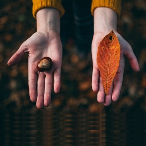 Что обязательно нужно сделать осенью? 19 семейных идей. Что обязательно нужно сделать осенью? 19 семейных идей.