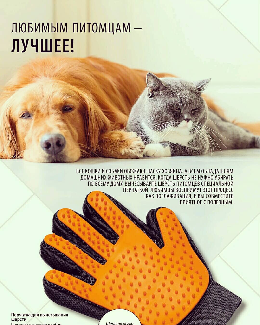 Товары для животных! Новинки! #фаберлик #faberlic #товарыдляживотных #перчатка #миска #петрова_мария_н #petrova_maria_n Товары для животных! Новинки! #фаберлик #faberlic #товарыдляживотных #перчатка #миска #петрова_мария_н #petrova_maria_n