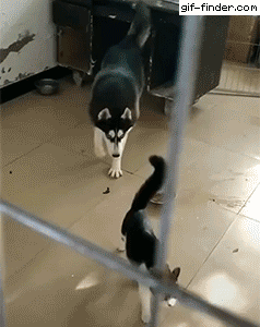 Обычная семейка Обычная семейка