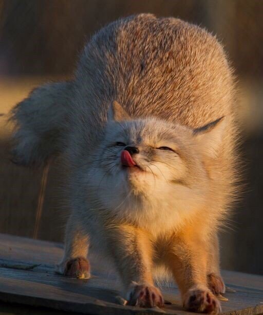 Удачный кадр Удачный кадр