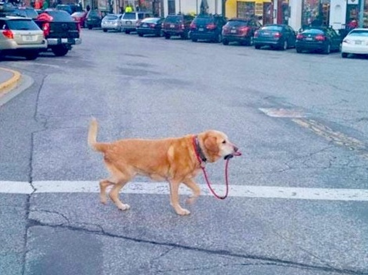 Расскажите как вы любите себя и как спасаете. Расскажите как вы любите себя и как спасаете.