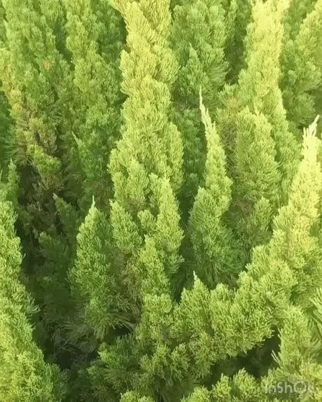 На острове Хайнань На острове Хайнань