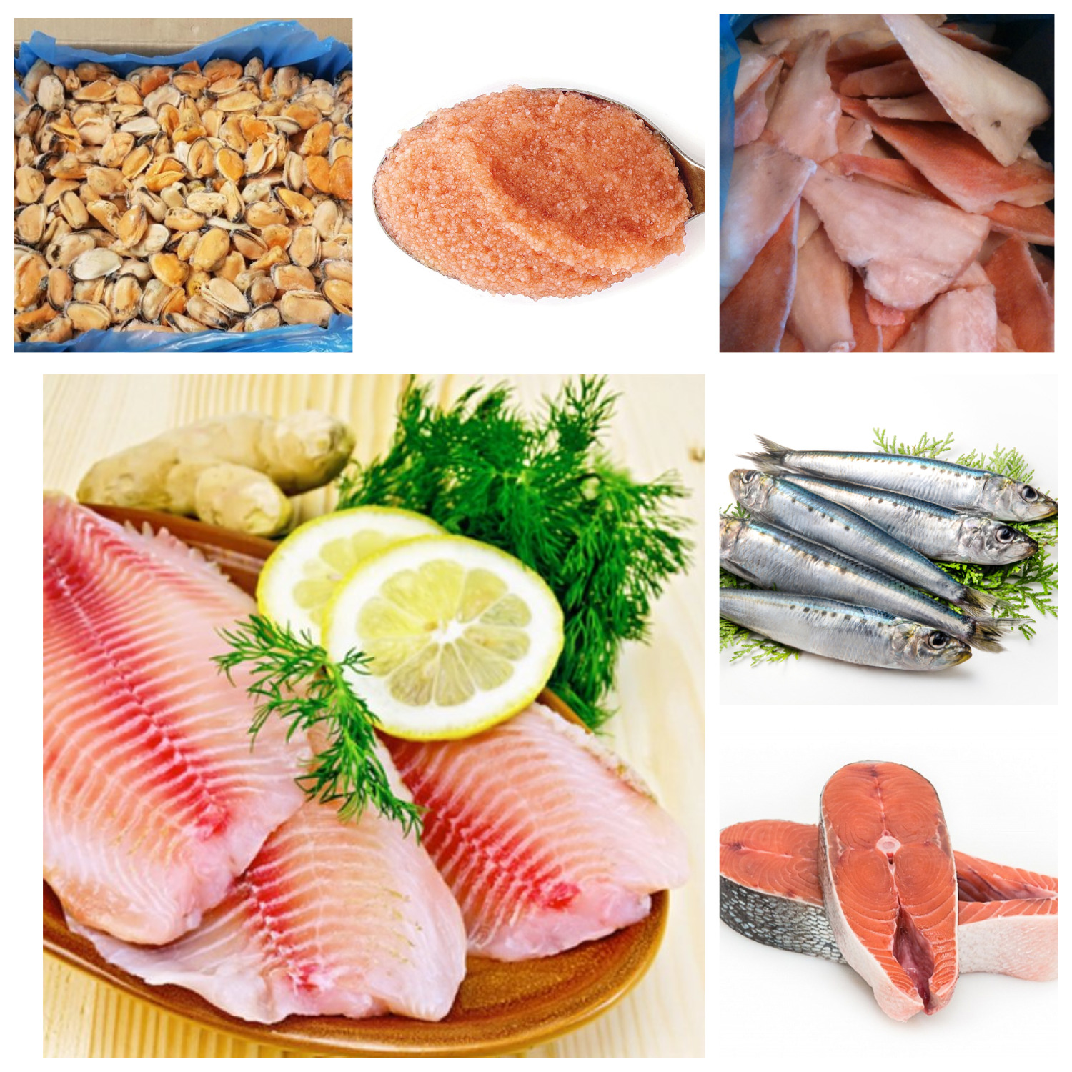 Сбор до 10.10. Большое предложение качественной и очень вкусной рыбы и морепродуктов 23! С информацией о месте и времени вылова. Свежемороженая рыба, Креветки, Лангустины, Стейки, Филе, Фарш, Брюшки. Побалуйте себя и своих близких! Сбор до 10.10. Большое предложение качественной и очень вкусной рыбы и морепродуктов 23! С информацией о месте и времени вылова. Свежемороженая рыба, Креветки, Лангустины, Стейки, Филе, Фарш, Брюшки. Побалуйте себя и своих близких!