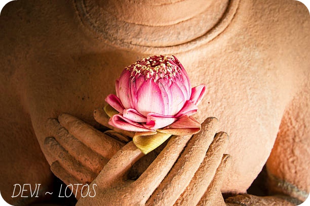 МЕДИТАЦИЯ "ПРОЦВЕТАНИЕ" МЕДИТАЦИЯ "ПРОЦВЕТАНИЕ"