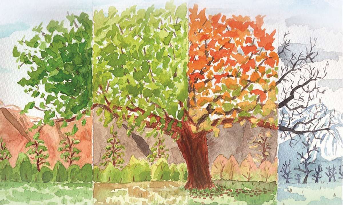 О питании по временам года в Аюрведе. О питании по временам года в Аюрведе.