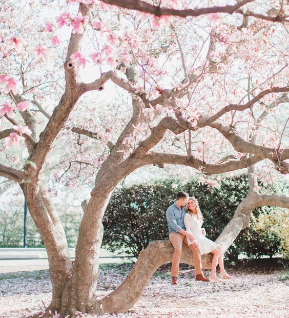 Кто вы для мужа: Кто вы для мужа: