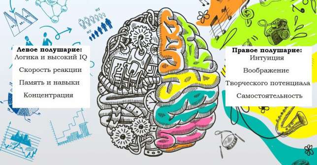 СИНХРОНИЗАЦИЯ РАБОТЫ ПОЛУШАРИЙ ГОЛОВНОГО МОЗГА или КАК БЫТЬ ЗДЕСЬ И СЕЙЧАС СИНХРОНИЗАЦИЯ РАБОТЫ ПОЛУШАРИЙ ГОЛОВНОГО МОЗГА или КАК БЫТЬ ЗДЕСЬ И СЕЙЧАС
