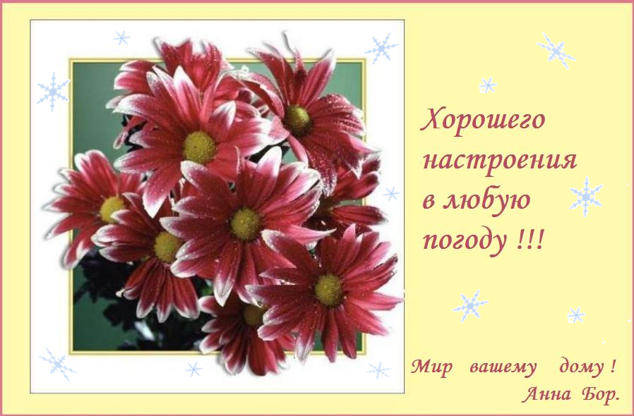 Добра и здоровья ! Добра и здоровья !