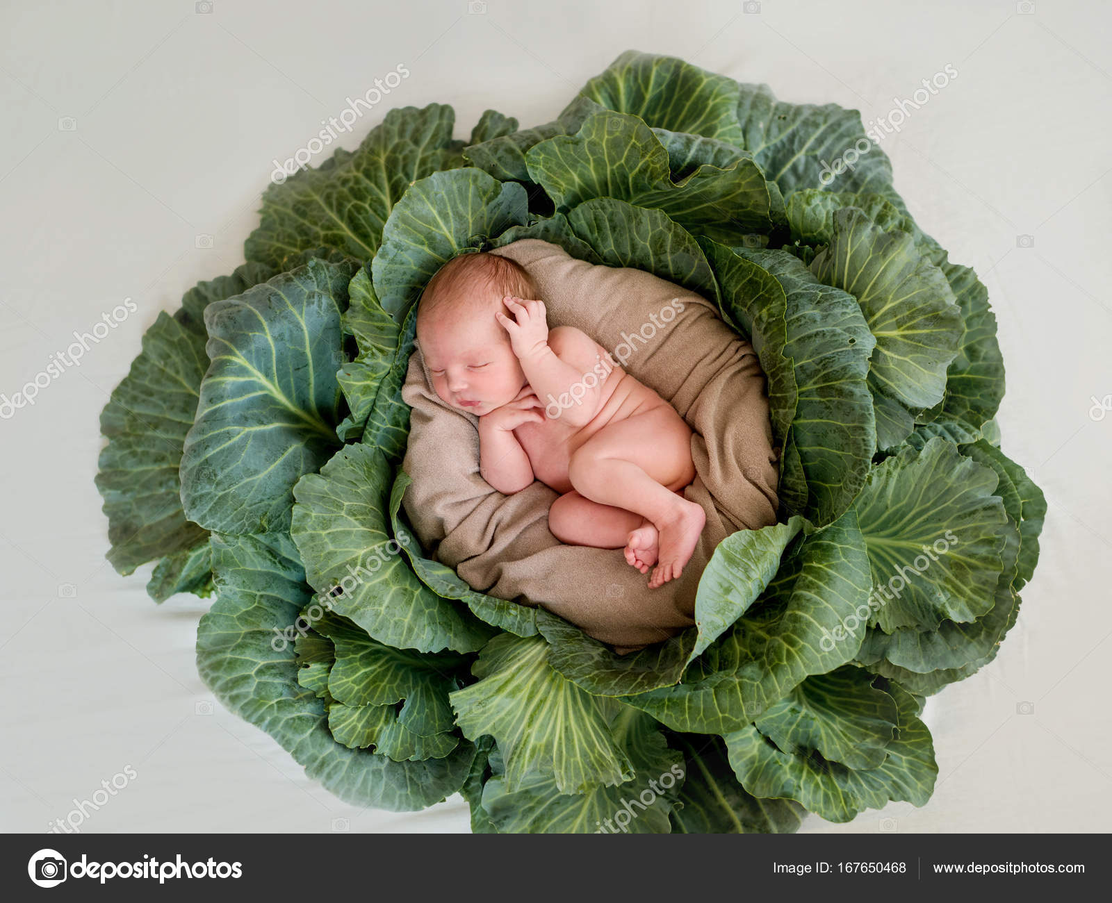 Ученые рассказали, от каких мужчин лучше рожать детей Ученые рассказали, от каких мужчин лучше рожать детей