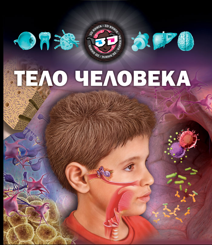 3Д энциклопедия Тело человека - снова в галереях заказа 3Д энциклопедия Тело человека - снова в галереях заказа