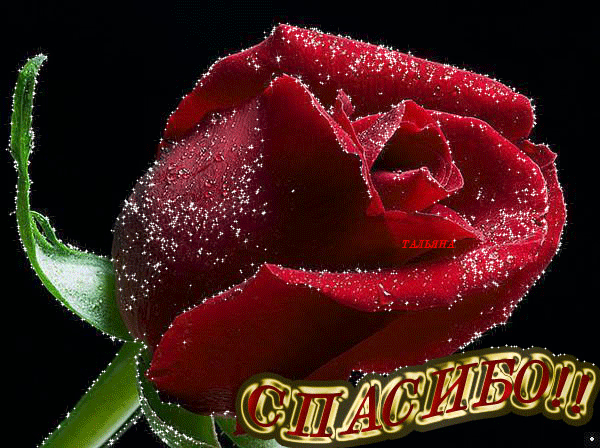 Раздача заказов 18.11 Камуфляж и спецодежда для настоящих мужчин! Охота, рыбалка, тактика, туризм. Обувь, головные уборы, защита рук, СИЗ, аксессуары, снаряжение. ГОСТ. Собственное производство. Крупнейший поставщик в России. Отличные цены!-19 Раздача заказов 18.11 Камуфляж и спецодежда для настоящих мужчин! Охота, рыбалка, тактика, туризм. Обувь, головные уборы, защита рук, СИЗ, аксессуары, снаряжение. ГОСТ. Собственное производство. Крупнейший поставщик в России. Отличные цены!-19