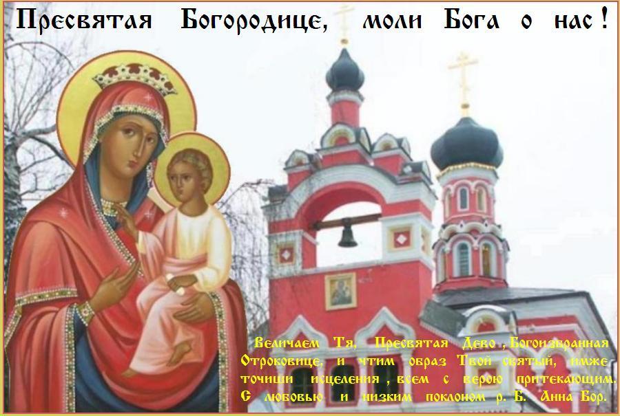 Укрый мя под сению милости Твоея,Пресвятая Богородице, да обрящу покой и радость и от грехов очищение. Твоему Матернему заступлению себе вручаю; буди мне Мати и надежде, покров и помощь и заступление, радость и утешение и скорая во всем Помощнице. Аминь. Укрый мя под сению милости Твоея,Пресвятая Богородице, да обрящу покой и радость и от грехов очищение. Твоему Матернему заступлению себе вручаю; буди мне Мати и надежде, покров и помощь и заступление, радость и утешение и скорая во всем Помощнице. Аминь.