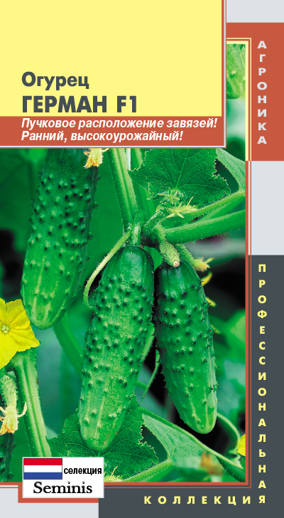 Сбор до 02.12. Плазменные семена. Теперь и семена в белых пакетах!-23. Томаты, астры, баклажаны, петунии и много чего интересного! Начинаем готовиться к новому сезону! Все в наличии! Сбор до 02.12. Плазменные семена. Теперь и семена в белых пакетах!-23. Томаты, астры, баклажаны, петунии и много чего интересного! Начинаем готовиться к новому сезону! Все в наличии!