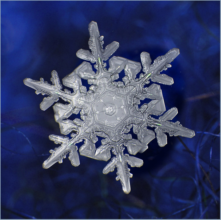 МОЙ ПРИСТРОЙ! ПОСЛЕДНИЕ РАЗДАЧИ В ЭТОМ ГОДУ !! МОЙ ПРИСТРОЙ! ПОСЛЕДНИЕ РАЗДАЧИ В ЭТОМ ГОДУ !!