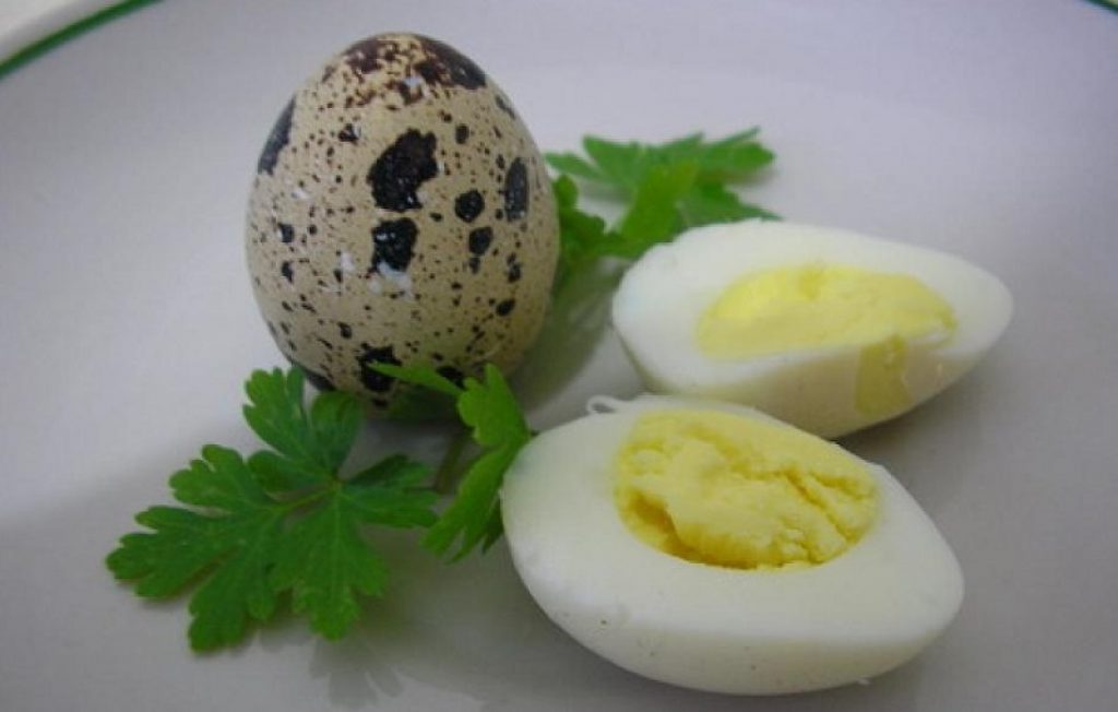 ЯЙЦО ПЕРЕПЕЛИННОЕ - СЕКРЕТ ДОЛГОЛЕТИЯ, НЕЗАМЕНИМЫЙ ПРОДУКТ. 50 рублей за 20 штук ЯЙЦО ПЕРЕПЕЛИННОЕ - СЕКРЕТ ДОЛГОЛЕТИЯ, НЕЗАМЕНИМЫЙ ПРОДУКТ. 50 рублей за 20 штук