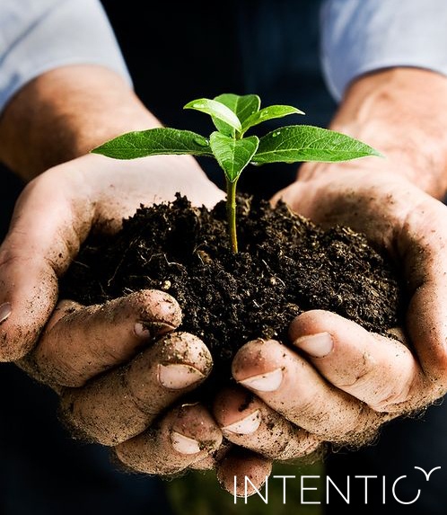 ИЗМЕНИТЬ СВОЮ СУДЬБУ-ЭТО РЕАЛЬНО? ИЗМЕНИТЬ СВОЮ СУДЬБУ-ЭТО РЕАЛЬНО?