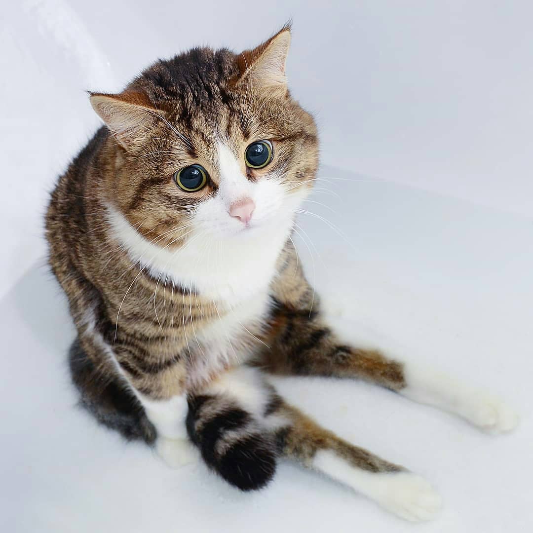 Удачный кадр Удачный кадр