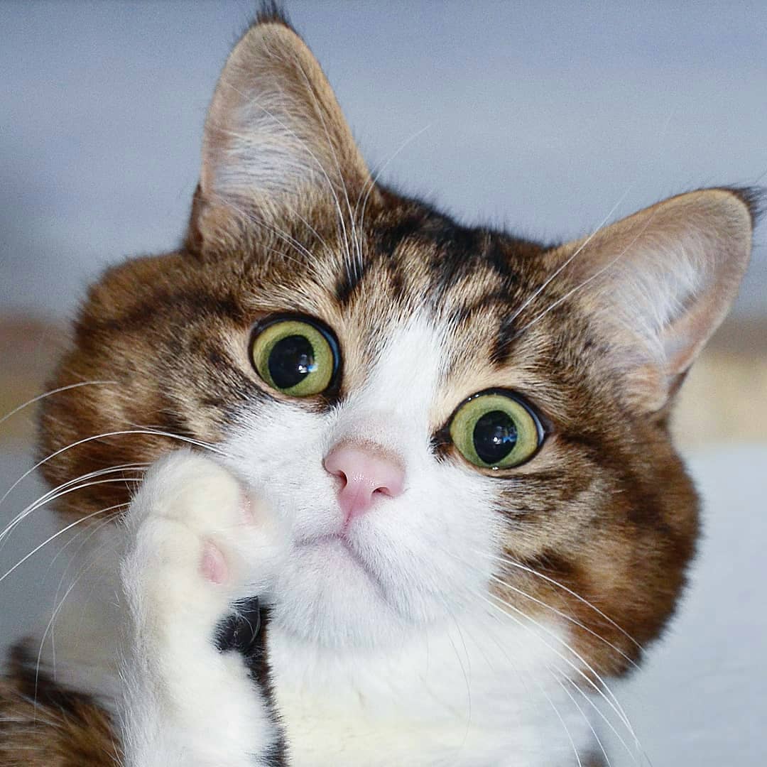 Удачный кадр Удачный кадр