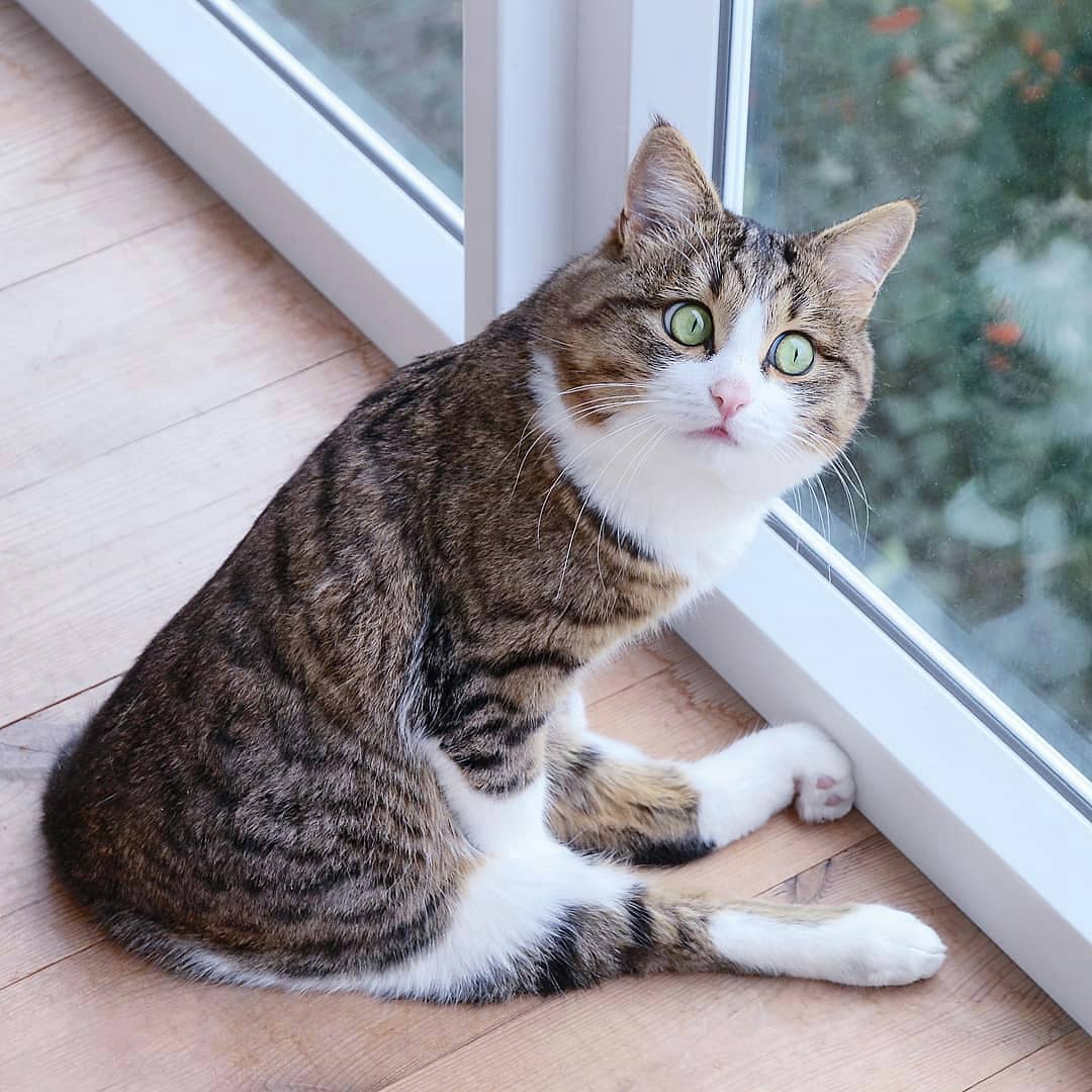 Удачный кадр Удачный кадр