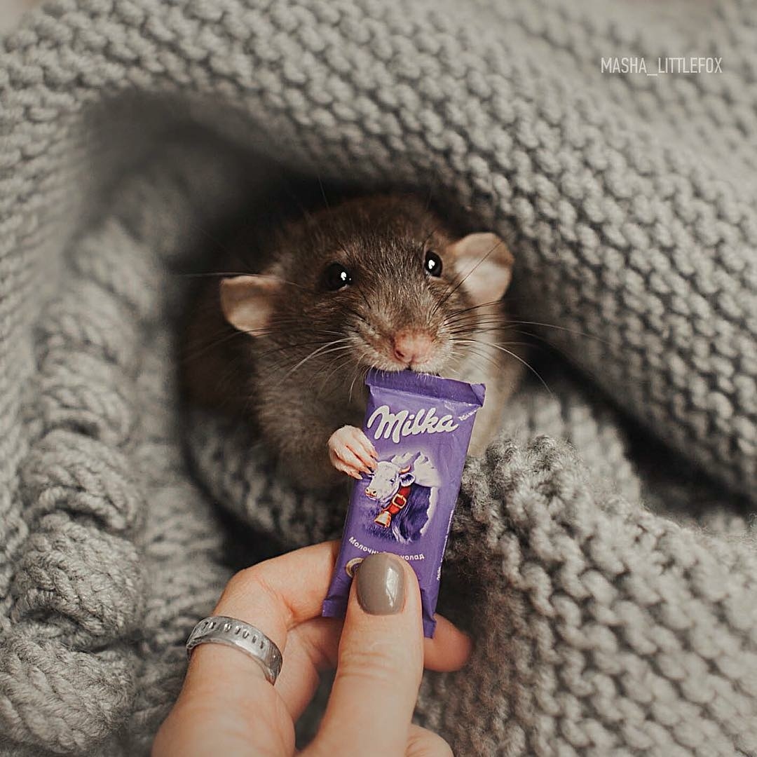 Удачный кадр Удачный кадр