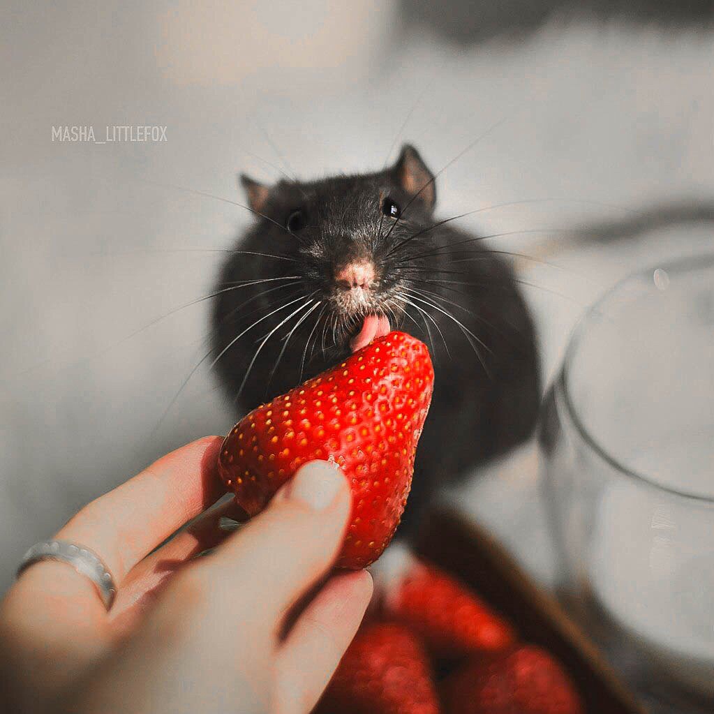 Удачный кадр Удачный кадр