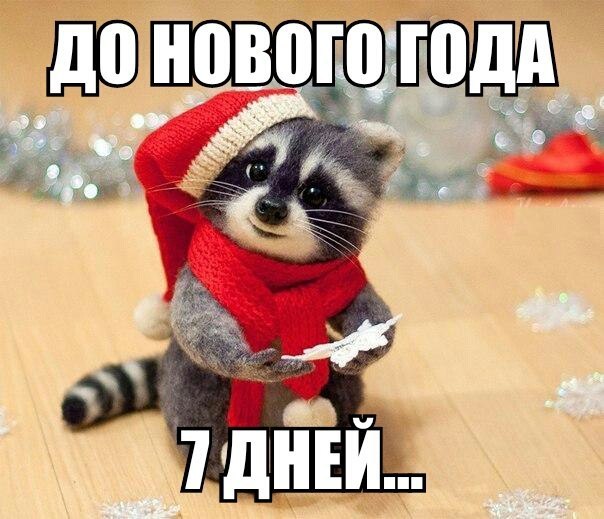 Обратный отсчет Обратный отсчет