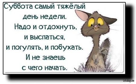Умное Умное