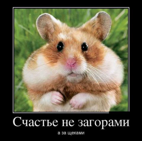 Экспресс. Мёд Цветочный, натуральный, с собственной пасеки, урожай 2018 (густой), Крымский экодесерт. Только натуральные ингредиенты, никаких консервантов! Экспресс. Мёд Цветочный, натуральный, с собственной пасеки, урожай 2018 (густой), Крымский экодесерт. Только натуральные ингредиенты, никаких консервантов!