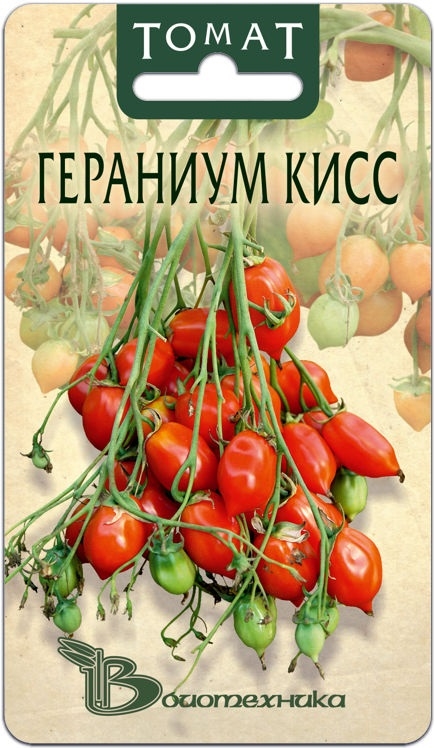 Фантастический урожай красивых, невероятно вкусных помидорчиков! Каждая кисть-борода содержит 50-60 плодов! Фантастический урожай красивых, невероятно вкусных помидорчиков! Каждая кисть-борода содержит 50-60 плодов!