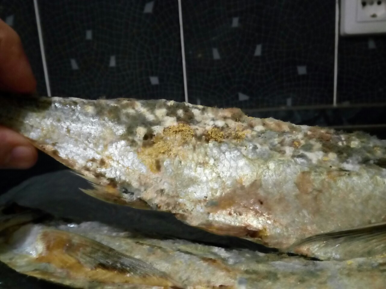 Закупка года Закупка года