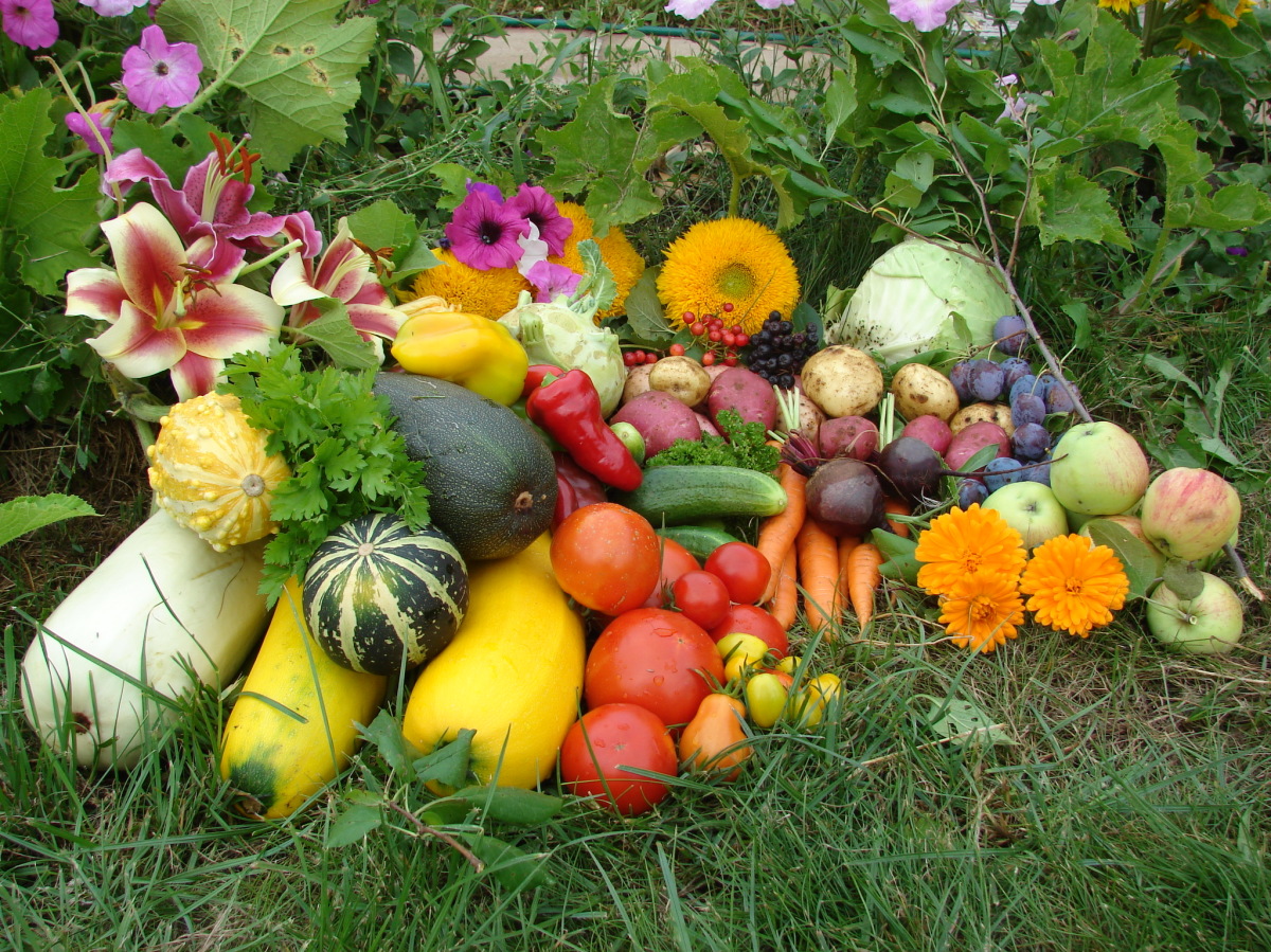 Сбор заказов до 16.02.Семена СеДек,Гавриш,Агрико,Сибирский Сад.Все без Рядов, минипарники, торф.горшки, торф.таблетки,спандбонд и многое др.Все ЦР. Выкуп 1. Сбор заказов до 16.02.Семена СеДек,Гавриш,Агрико,Сибирский Сад.Все без Рядов, минипарники, торф.горшки, торф.таблетки,спандбонд и многое др.Все ЦР. Выкуп 1.