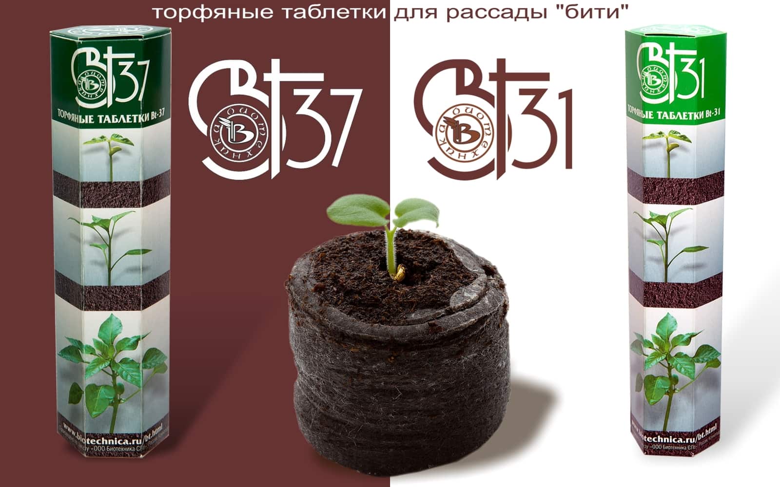 Новые торфяные таблетки для рассады Новые торфяные таблетки для рассады