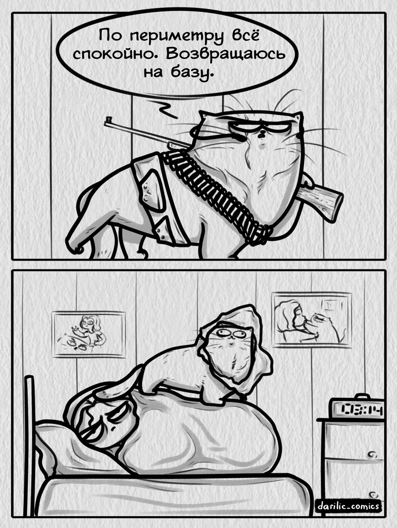 Ко дню защитника котечества Ко дню защитника котечества